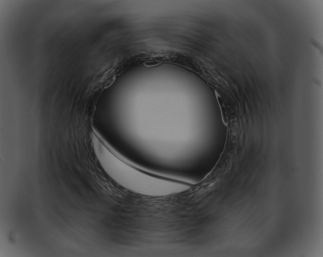X0000096650916200802050930