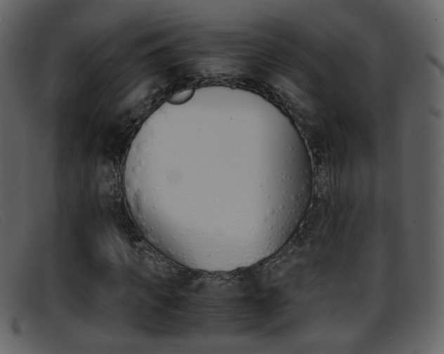 X0000096650917200802050930