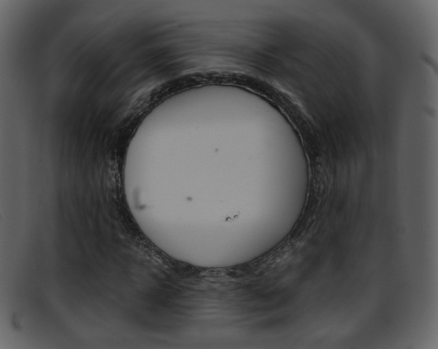 X0000096650918200802050930