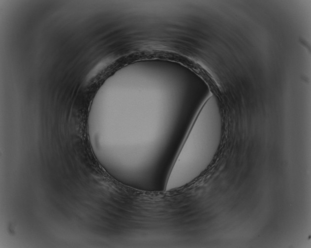 X0000096650919200802050930
