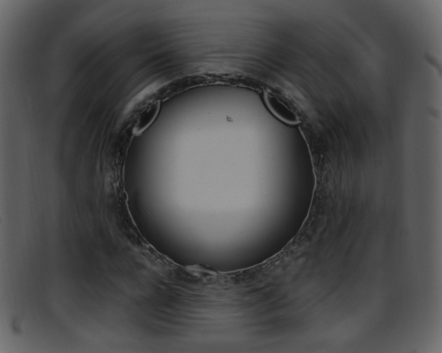X0000096650920200802050930
