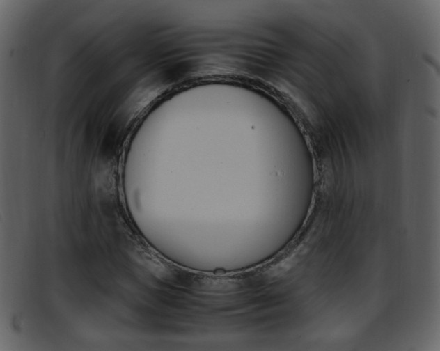 X0000096650921200802050930