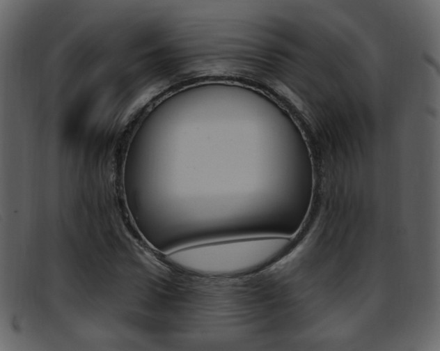 X0000096650922200802050930