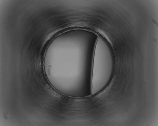 X0000096650923200802050930