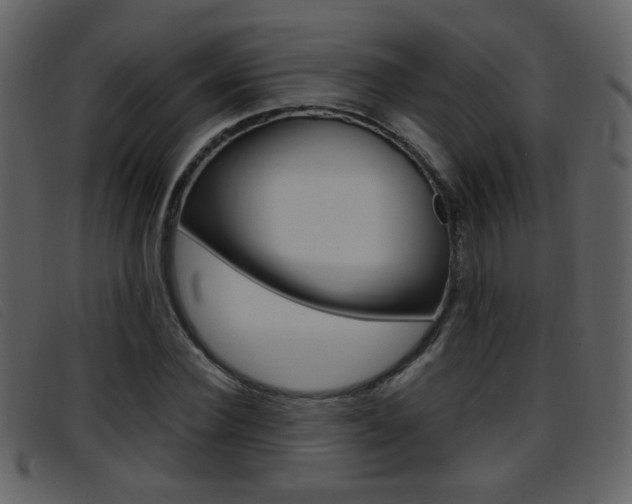 X0000096650924200802050930