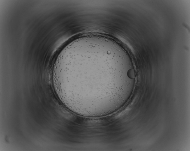 X0000096650925200802050930