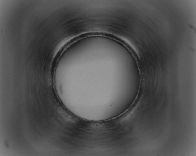 X0000096650927200802050930