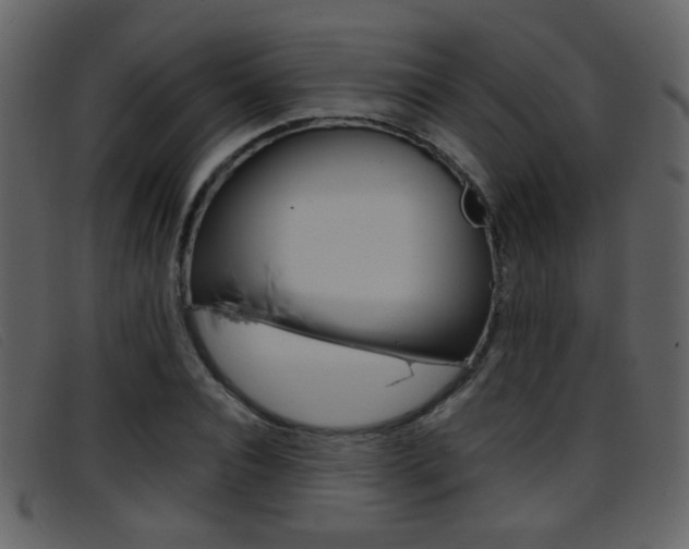 X0000096650928200802050930
