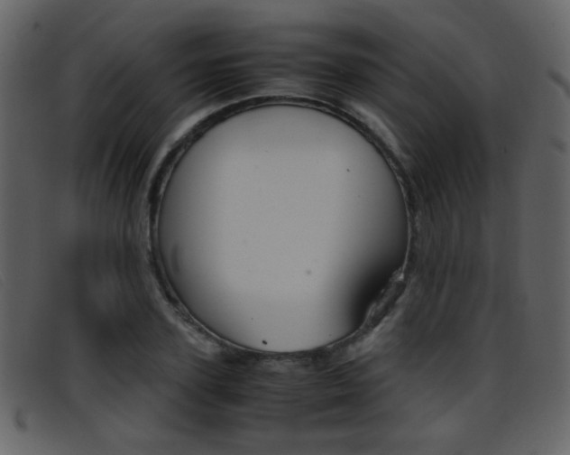 X0000096650931200802050930