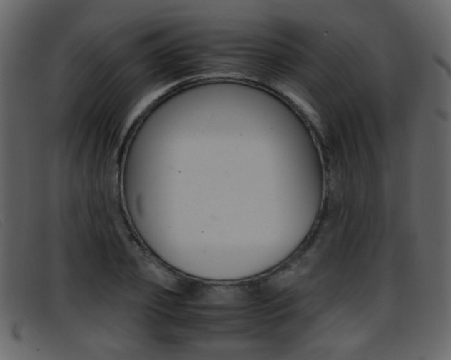 X0000096650933200802050930