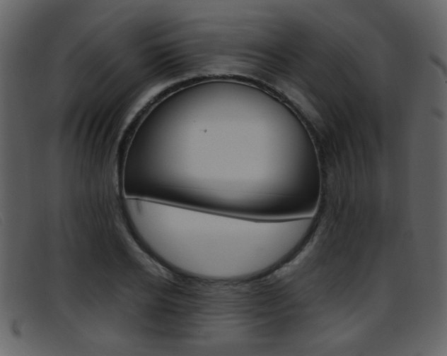 X0000096650934200802050930