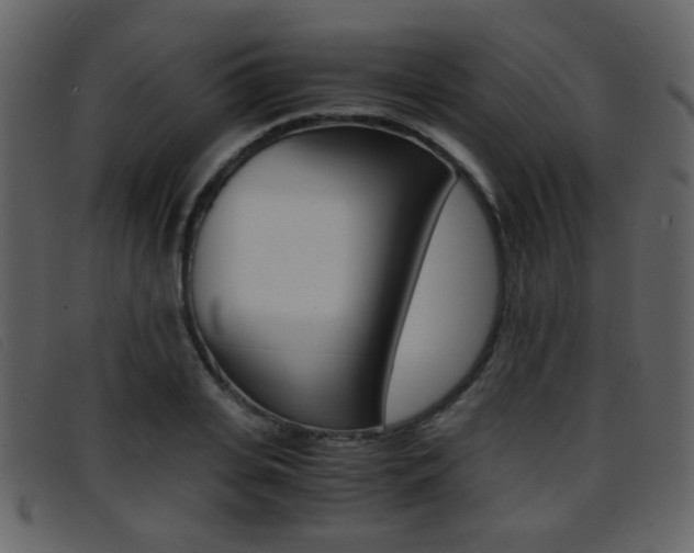 X0000096650935200802050930