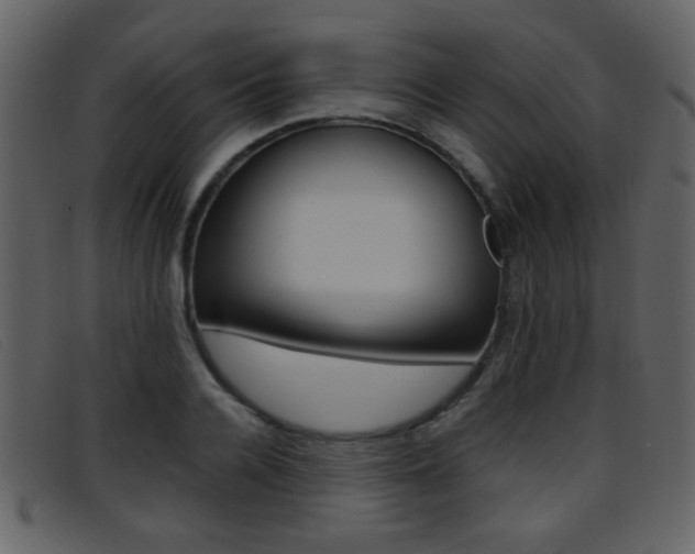 X0000096650936200802050930