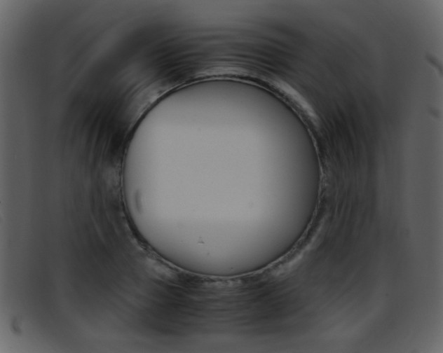 X0000096650937200802050930