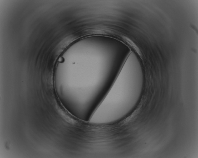 X0000096650938200802050930