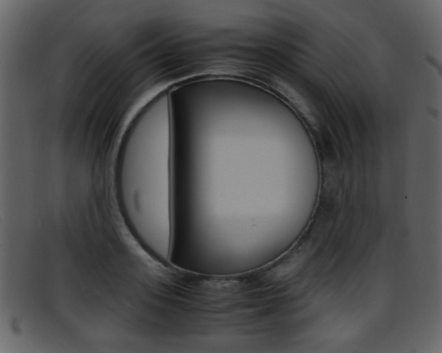 X0000096650939200802050931