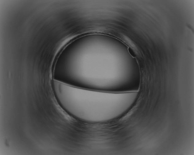 X0000096650940200802050931