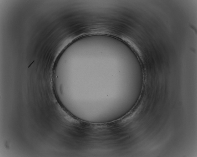 X0000096650941200802050931