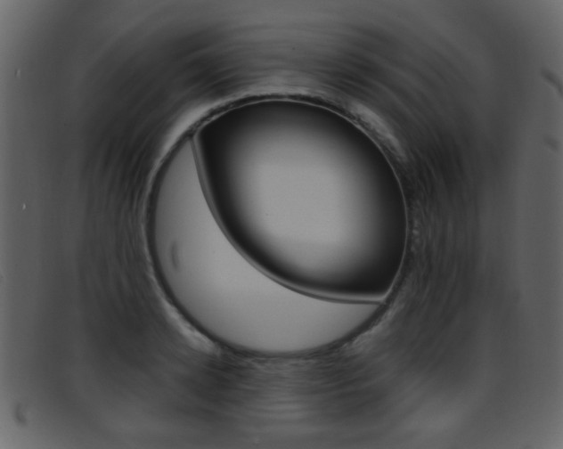 X0000096650942200802050931