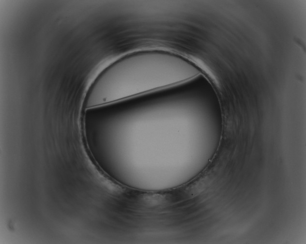 X0000096650943200802050931