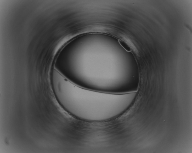X0000096650944200802050931