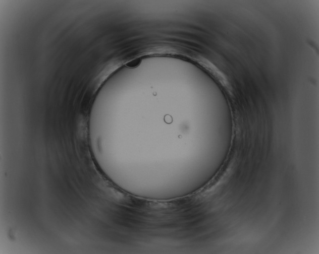 X0000096650945200802050931