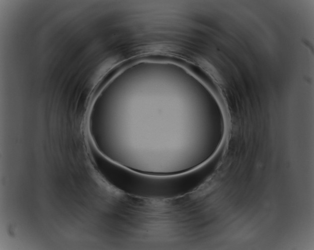 X0000096650946200802050931