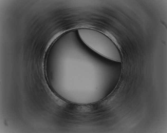 X0000096650947200802050931