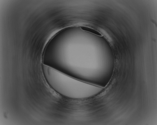 X0000096650948200802050931