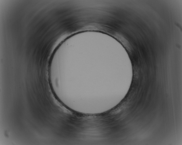 X0000096650950200802050931