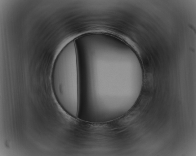 X0000096650951200802050931