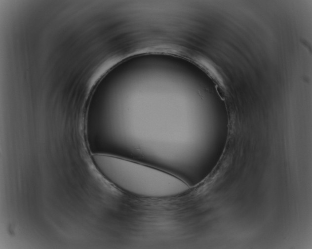 X0000096650952200802050931