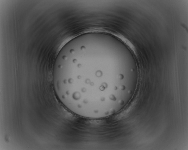 X0000096650953200802050931
