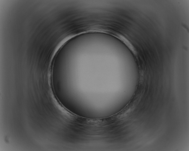 X0000096650955200802050931
