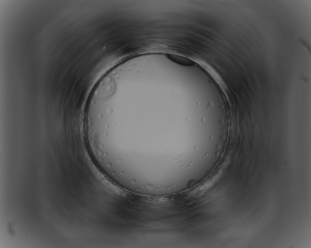 X0000096650957200802050931