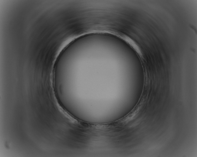 X0000096650958200802050931