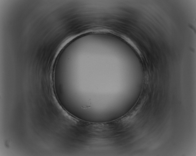 X0000096650959200802050931