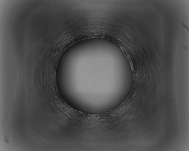 X0000096650961200802050930