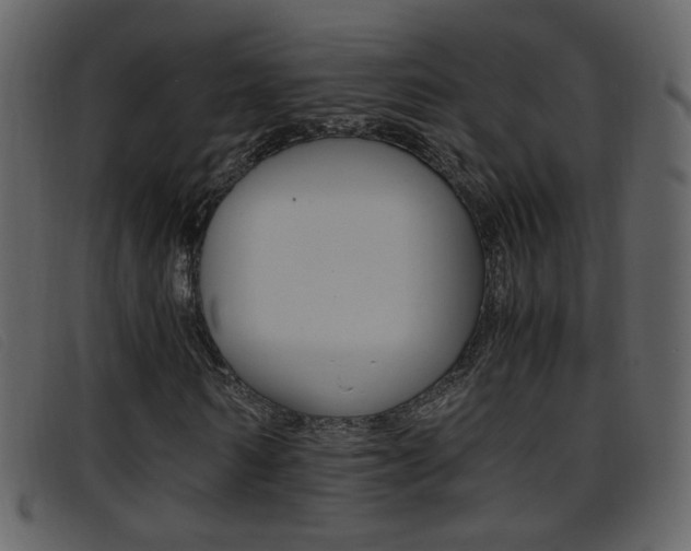 X0000096650962200802050930