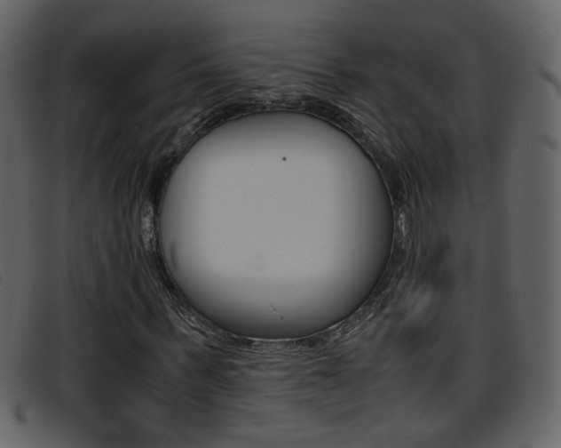 X0000096650963200802050930