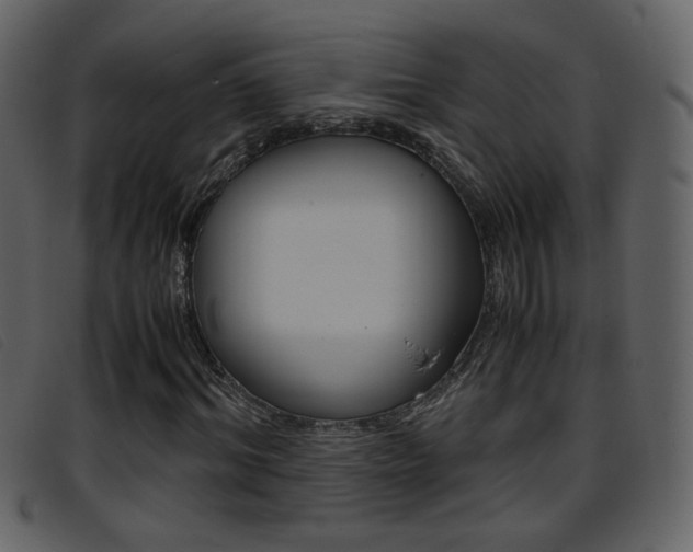 X0000096650964200802050930