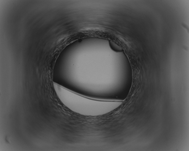 X0000096650965200802050930