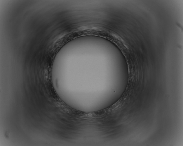 X0000096650966200802050930
