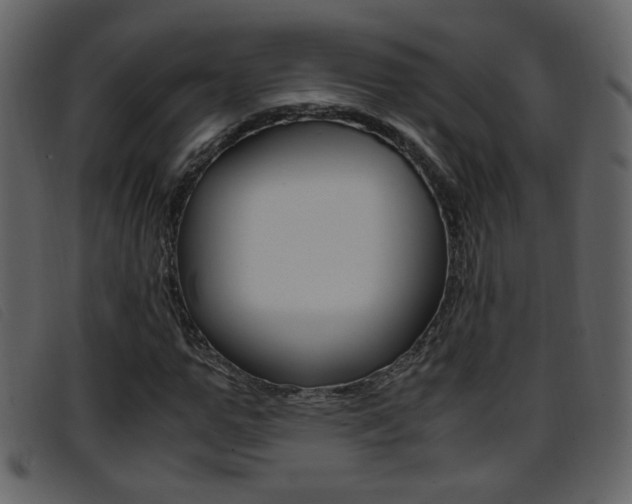 X0000096650967200802050930
