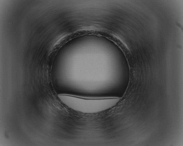 X0000096650968200802050930
