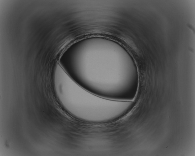 X0000096650969200802050930