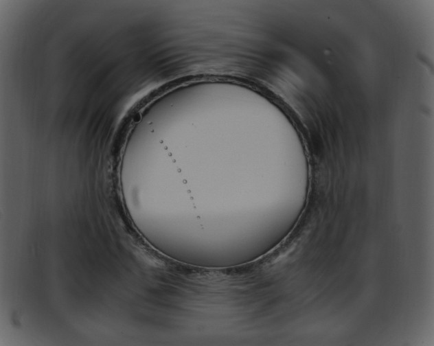 X0000096650971200802050930