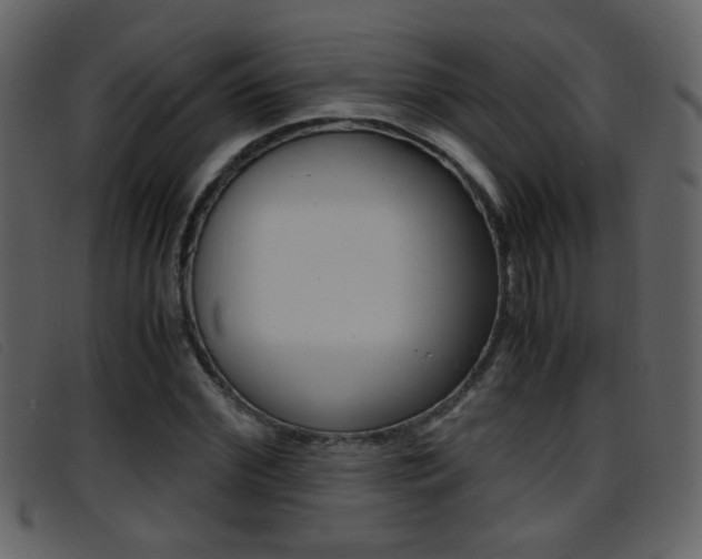 X0000096650972200802050930