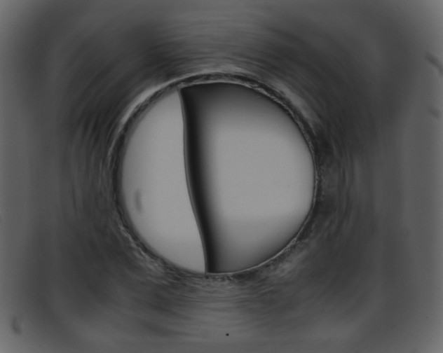 X0000096650975200802050930