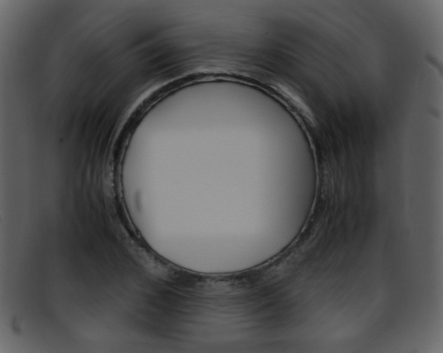 X0000096650976200802050930